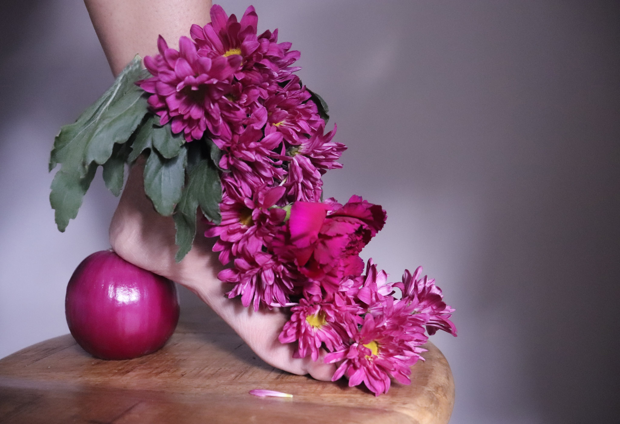 Still life photography and my creative shoe designs. Still life photographers to know and how I created these shoes out of flowers. Charlotte Artist, Still Life Photography , Creative Fashion Designer Charlotte