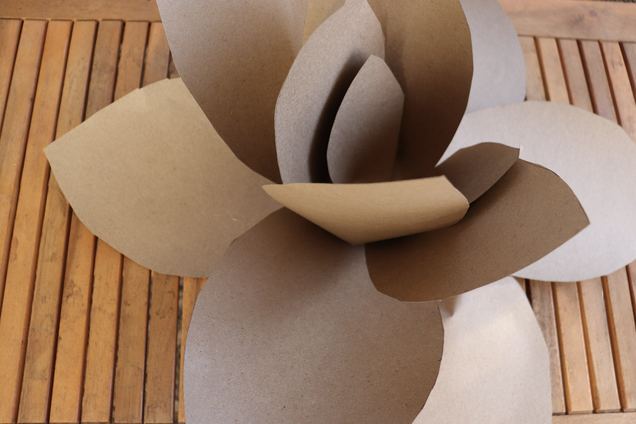 Flowers out of paper, How to make paper flowers, easy way to make large flowers out of paper, charlotte artist created florals out of paper, easy way to create flowers out of paper, Thanksgiving craft project